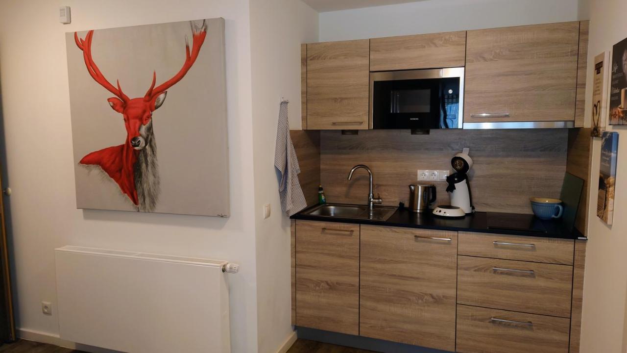 Maurers Schlierseetraum 6, Studio 455 Mit 42 Qm Neu Renoviert, Erdgeschoss Mit Eingezaeunter Terrasse In Ruhiger Lage Am Kirchbichlweg 8 ภายนอก รูปภาพ