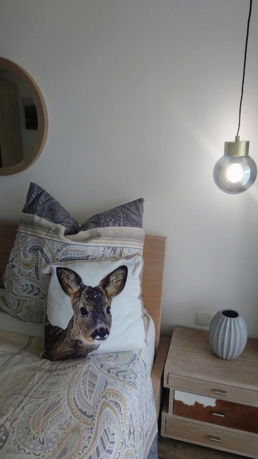 Maurers Schlierseetraum 6, Studio 455 Mit 42 Qm Neu Renoviert, Erdgeschoss Mit Eingezaeunter Terrasse In Ruhiger Lage Am Kirchbichlweg 8 ภายนอก รูปภาพ
